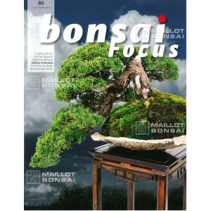 VENDU BONSAI FOCUS 80