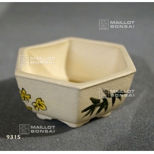 mini-hand-painted-pot-bamboo-and-maple