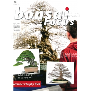 BONSAI FOCUS N° 86