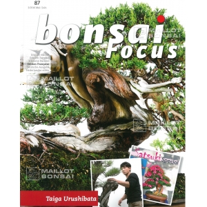 Bonsai focus magazine 87