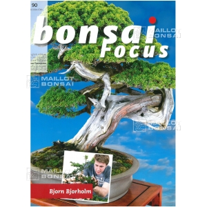 Bonsai focus magazine 90