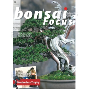 BONSAI FOCUS N° 92