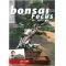 Bonsai focus magazine 98