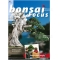 BONSAI FOCUS N° 99