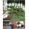 Bonsai focus magazine 100