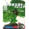 BONSAI FOCUS N° 101