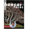 BONSAI FOCUS N° 115