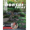 BONSAI FOCUS N° 118