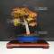 acer palmatum shishigashira 5110218