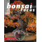bonsai-focus-n-118