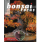 BONSAI FOCUS N° 118