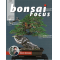 bonsai-focus-n-123