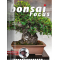 bonsai-focus-n-124
