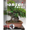 BONSAI FOCUS N° 124