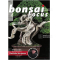 bonsai-focus-n-127