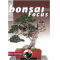 bonsai-focus-n-128