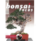 BONSAI FOCUS N° 128