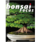 bonsai-focus-n-131