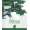 Vos bonsai en pleine forme J. SOMM.