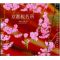 EPUISEKyoto sakura collection