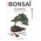 Mini bonsai Juniperus Chinensis handbook N°2