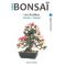 Mini bonsai N°3 azalée satsuki Kyosuke Gun