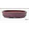 Tokoname pot 106 F12