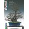 VENDU France bonsai N° 94