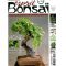 ESPRIT BONSAI N° 42