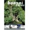 BONSAI FOCUS N° 51