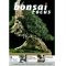 bonsai europe / bonsai focus N° 50