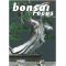 VENDU BONSAI FOCUS N° 67