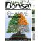 ESPRIT BONSAI N° 51