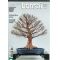 VENDUFrance bonsai N° 90
