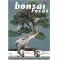 Bonsai focus n 64