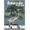 VENDU BONSAI FOCUS N° 64