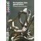 VENDUFrance bonsai N° 96 Formations des Genevriers