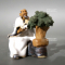 Figurine tailleur bonsai 8066