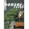 VENDU BONSAI FOCUS N° 77