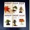 Mini bonsai technical handbooks set of 6