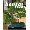 Bonsai focus 81