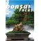 BONSAI FOCUS N° 82