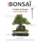 Mini bonsai Acer buergerianum handbook N° 7