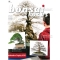 Bonsai focus magazine 86 March/April 2016