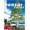 BONSAI FOCUS N° 91