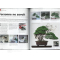 Bonsai focus magazine 110