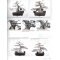 BONSAI FOCUS N° 118