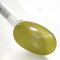 Arrosoir en plastique vert contenance 4 litres