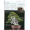 BONSAI FOCUS N° 91