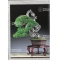 Bonsai focus magazine 105